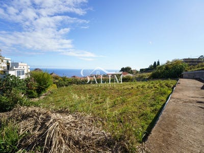 /international/pt/canhas-madeira-310108316423/?lang=es