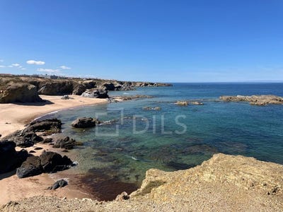 /international/pt/sines-setubal-municipality-310108085188/