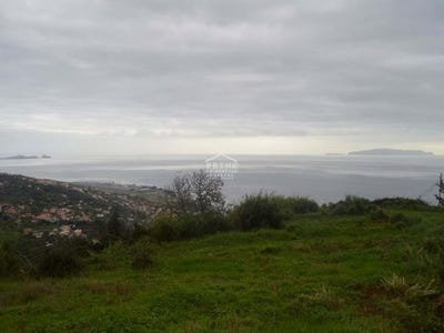 /international/pt/santa-cruz-setubal-municipality-120086468702/