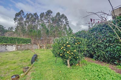 /international/pt/oliveira-de-azemeis-aveiro-310098443939/?lang=zh-tw