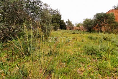 /international/pt/silves-faro-120091185267/?lang=zh-tw
