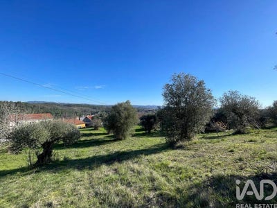 /international/pt/santarem-santarem-310107009675/