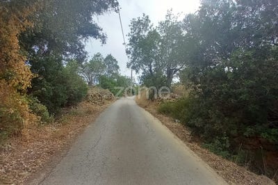 /international/pt/faro-faro-120088444937/