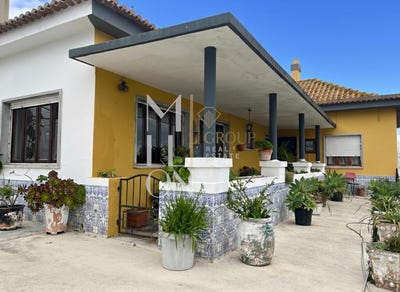 /international/pt/almeirim-beja-310106592675/