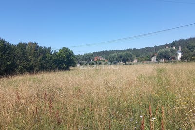 /international/pt/coimbra-lisbon-310093886935/