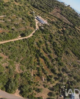 /international/pt/faro-faro-310102433692/
