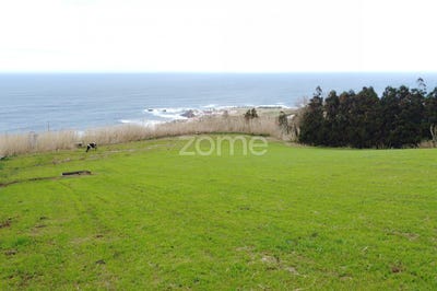 /international/pt/ponta-delgada-azores-310104039274/