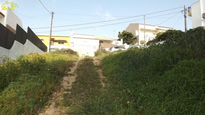 /international/pt/castro-marim-faro-310105818222/