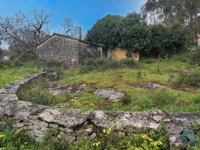 /international/pt/leiria-leiria-310098286570/?lang=zh-tw