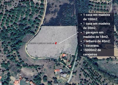 /international/pt/tuizelo-braganca-310100558417/
