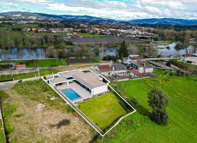 /international/pt/palmeira-braga-310098444392/