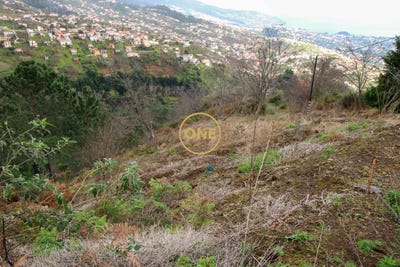 /international/pt/estreito-camara-de-lobos-madeira-310108154688/