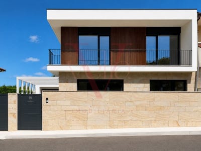 /international/pt/palmeira-braga-310108158993/