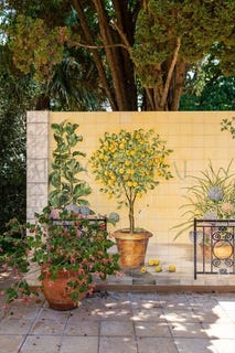 /international/pt/cascais-e-estoril-lisbon-310101416957/?lang=it