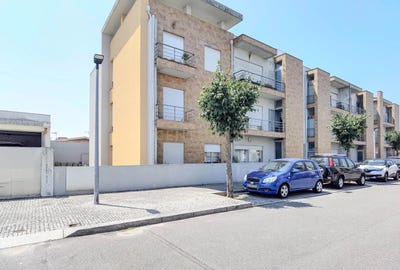 /international/pt/arvore-porto-310100668810/
