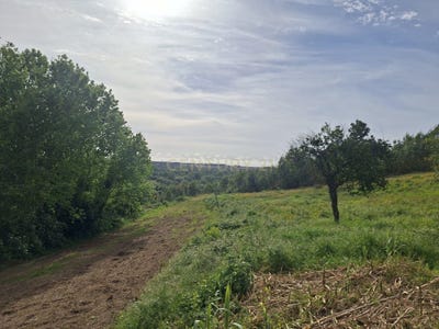 /international/pt/r-salgueiral-angeja-portugal-angeja-aveiro-310106741937/