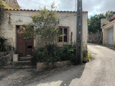 /international/pt/samuel-coimbra-310093935527/