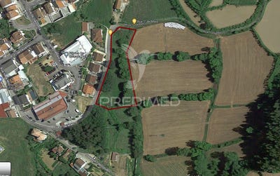 /international/pt/friande-felgueiras-viseu-310103766755/