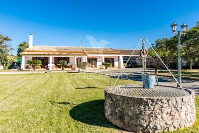 /international/pt/palmela-palmela-setubal-municipality-310094433217/