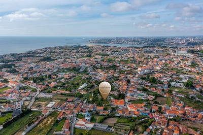 /international/pt/canidelo-porto-310108246187/