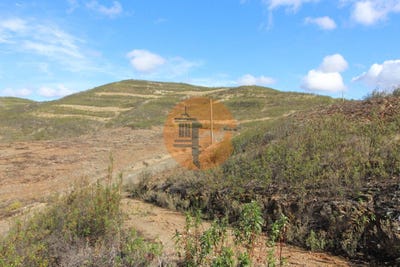 /international/pt/faro-faro-310096784414/