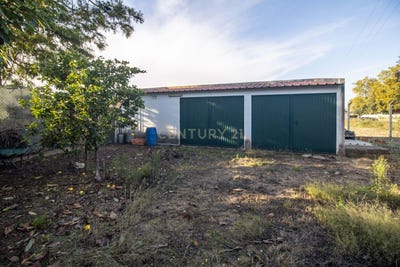 /international/pt/estrada-vila-amelia-quinta-do-anjo-portugal-quinta-do-anjo-setubal-municipality-310103664471/