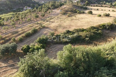 /international/pt/silves-faro-310100667061/