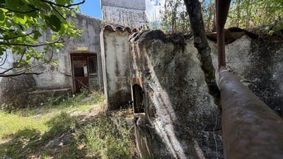 /international/pt/caminho-do-monte-ornalho-portugal-crato-e-martires-portalegre-310108519483/