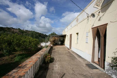 /international/pt/r-de-corte-do-bucho-301x-8100-alte-portugal-alte-faro-310103747115/