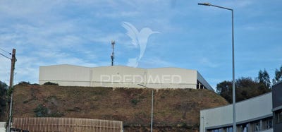 /international/pt/fornelos-e-queijada-ponte-de-lima-viana-do-castelo-310097483554/