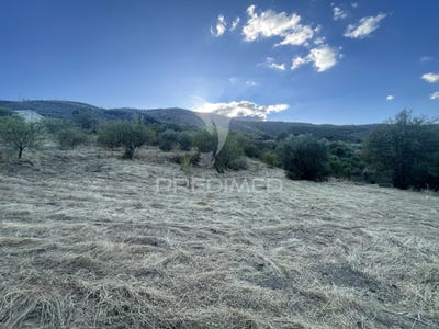 /international/pt/freixo-de-numao-vila-nova-de-foz-coa-guarda-310101274445/?lang=zh-tw