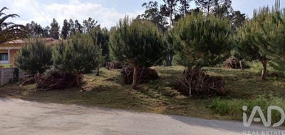 /international/pt/leiria-leiria-310104168819/