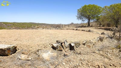 /international/pt/castro-marim-faro-310105819261/