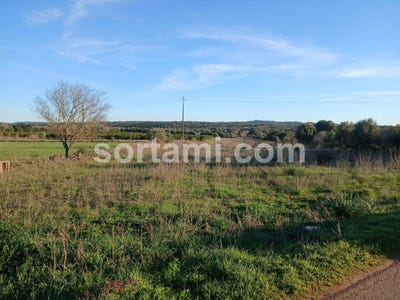 /international/pt/silves-faro-310107216448/
