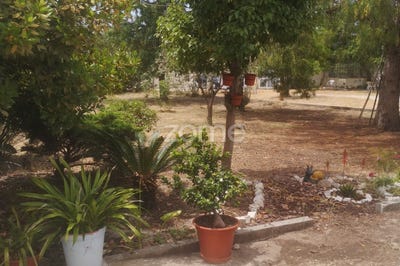/international/pt/palmela-setubal-municipality-310101226429/