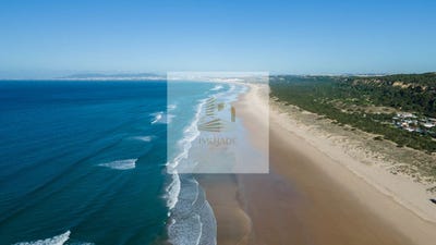 /international/pt/almada-setubal-municipality-310100665858/