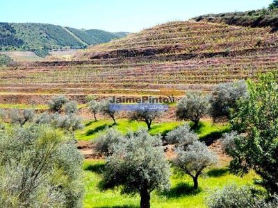 /international/pt/santa-comba-guarda-310103703516/