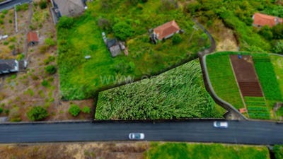 /international/pt/faial-madeira-310107499654/