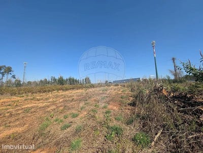/international/pt/albergaria-a-velha-e-valmaior-aveiro-district-310105376952/