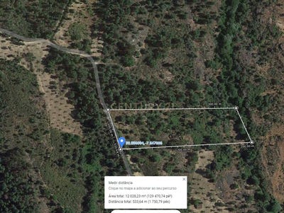 /international/pt/lobateira-salgueiro-do-campo-castelo-branco-310105229559/