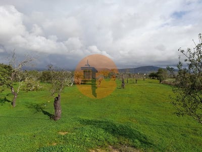 /international/pt/pechao-faro-310105012114/