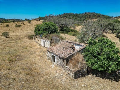 /international/pt/colos-portugal-bicos-beja-310102034838/