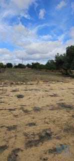 /international/pt/loule-faro-120095763124/