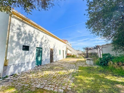 /international/pt/salir-faro-310101080828/?lang=zh-tw