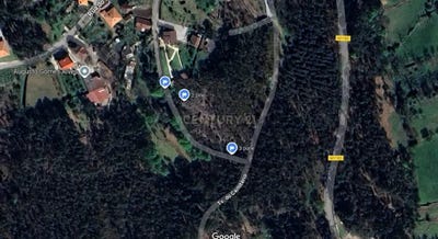 /international/pt/rua-do-monte-ribeira-do-neiva-braga-310105186750/