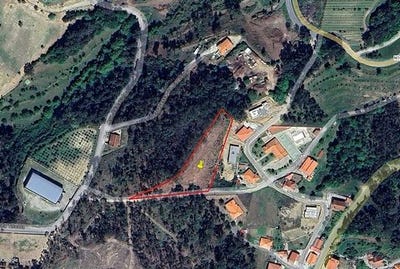 /international/pt/celorico-de-basto-braga-310106288304/