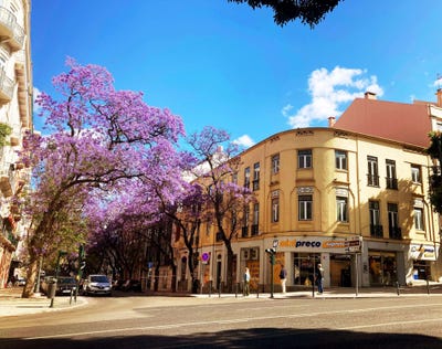/international/pt/rua-rodrigo-da-fonseca-santo-antonio-lisbon-310106685605/