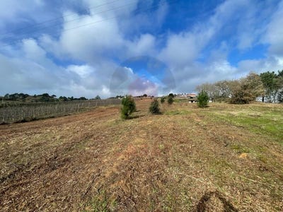 /international/pt/salir-de-matos-leiria-310106623057/