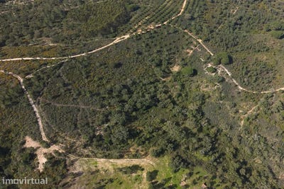 /international/pt/melides-setubal-municipality-310106687839/