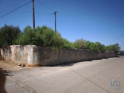 /international/pt/faro-faro-310101278315/?lang=zh-cn
